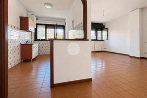 3 LOCALI A ROMA