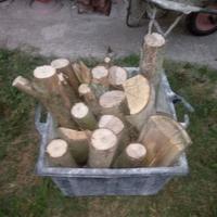 legna di quercia e noce da ardere,