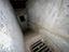 Immagine 12