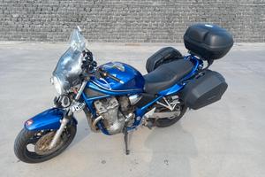 Suzuki GSF 600 , LA TUA COMPAGNA DI VIAGGIO