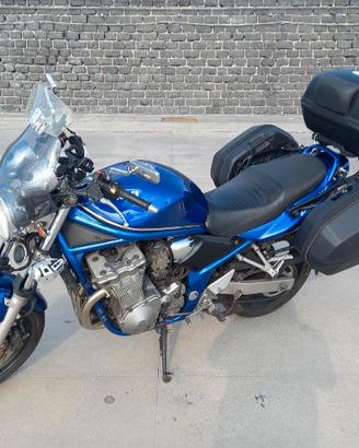 Suzuki GSF 600 , LA TUA COMPAGNA DI VIAGGIO
