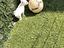 Immagine 5