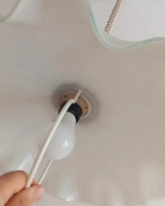 Lampadario Vetro Satinato  con finitura in legno 