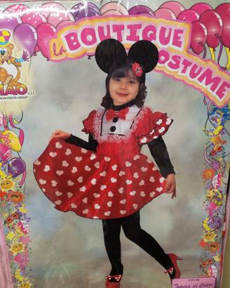 Vestito carnevale