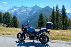 Sv 650 euro 5