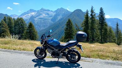 Sv 650 euro 5