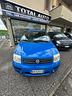 fiat-panda-1-2-alessi
