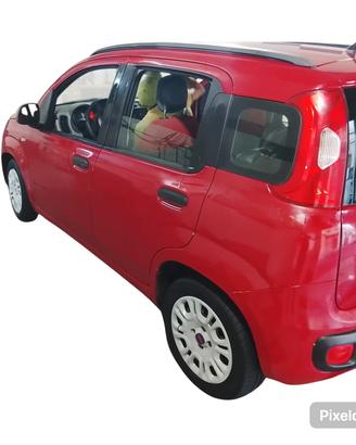 Ricambi Fiat Panda 1.3 Multijet 75Cv 2011/2022: