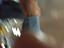 Immagine 12