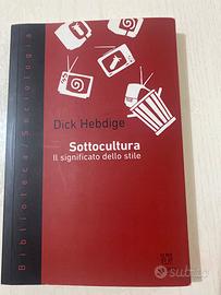 Sottocultura. Il significato dello stile