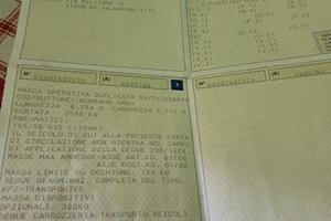 rimorchio porta auto e cose