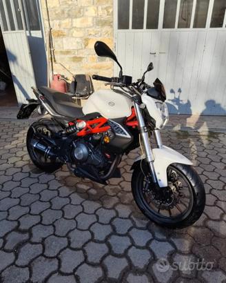 Benelli bn 302 - Patente A2