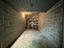 Immagine 9
