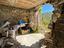 Immagine 15