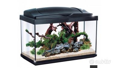 Acquario pesci 30l