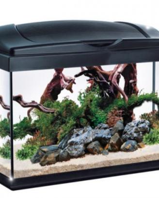 Acquario pesci 30l