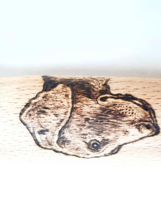 Attrezzi per tartufai