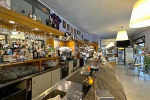 ATTIVITÀ A SILVANO D'ORBA