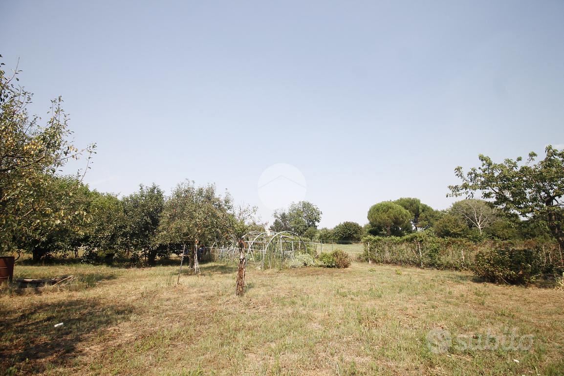 TER. AGRICOLO A GARBAGNATE MILANESE - Vista 3