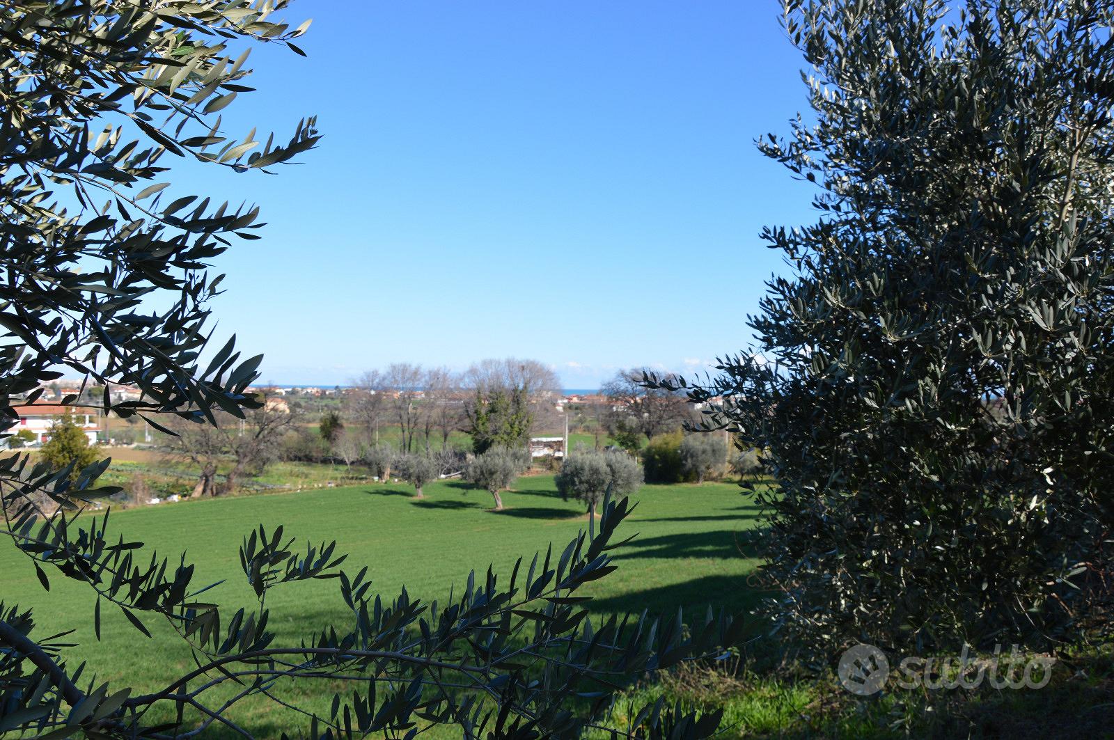 Casolare e terreno con vista sul mare - R46 - Vista 5