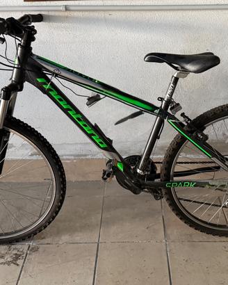 Bicicletta montana