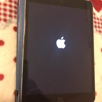 Ipad Mini 3 wifi + sim