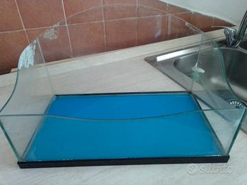 acquario in vetro per tartaruga
