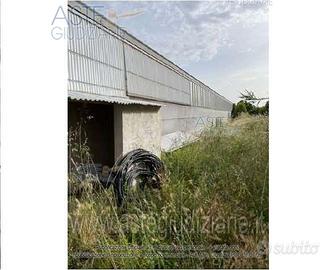 Terreno Agricolo San Sperate [A4287270]