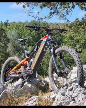 mtb elettrica pro