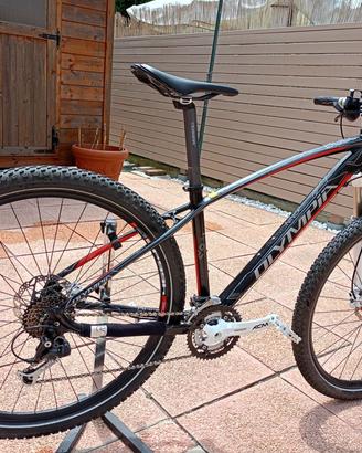Bici MTB  29"
