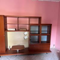 Mobile Tv della Sala