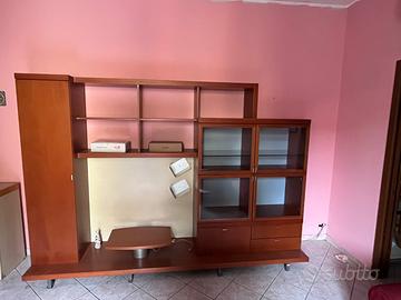 Mobile Tv della Sala