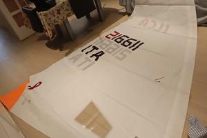 Vela da regata per laser