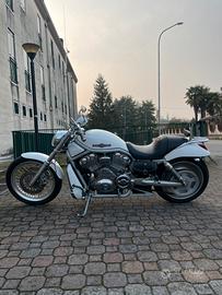 Harley Davidson v-rod
