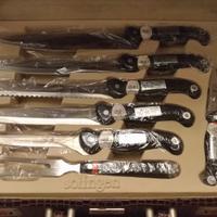 Set coltelli professionale 12 pezzi