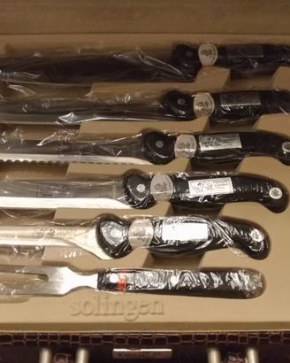 Set coltelli professionale 12 pezzi