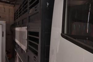 Eurocargo  trasporto animali vivi