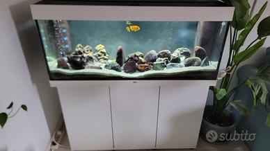 Acquario Juwel Rio 240 litri