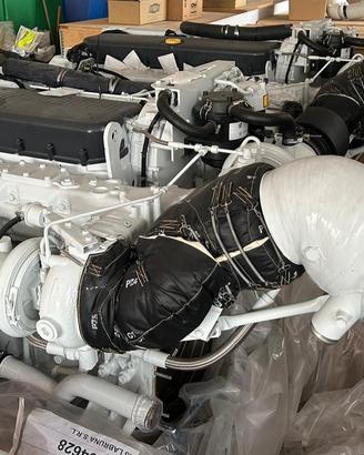 entrobordo  FPT 1000 HP - 6 cilindri 