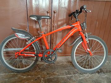  Bici Montana 20