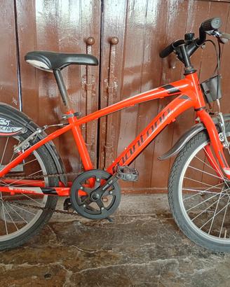  Bici Montana 20