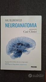Neuroanatomia - hal blumenfeld