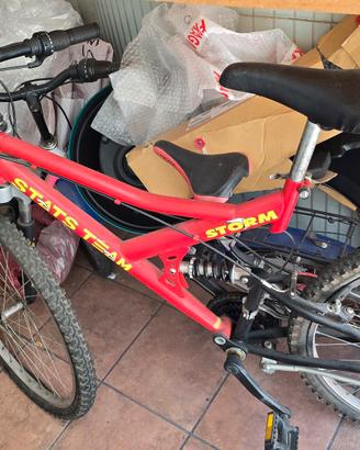Mountain bike 