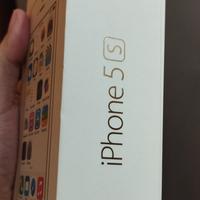 iPhone 5 s