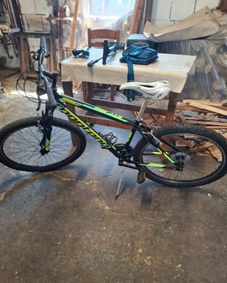 BICI  MTB