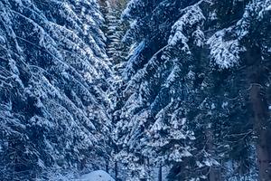 Bilocale sulle piste da sci, val di sole