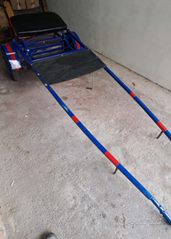 Calesse,allenatore,sgambacavallo