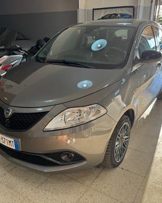 Lancia NEW Ypsilon 1.2 69 CV 5 porte Gold