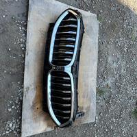 Griglia radiatore BMW seria 8 2020