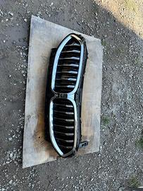 Griglia radiatore BMW seria 8 2020